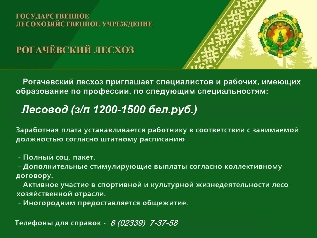 19 11 2025 v3
