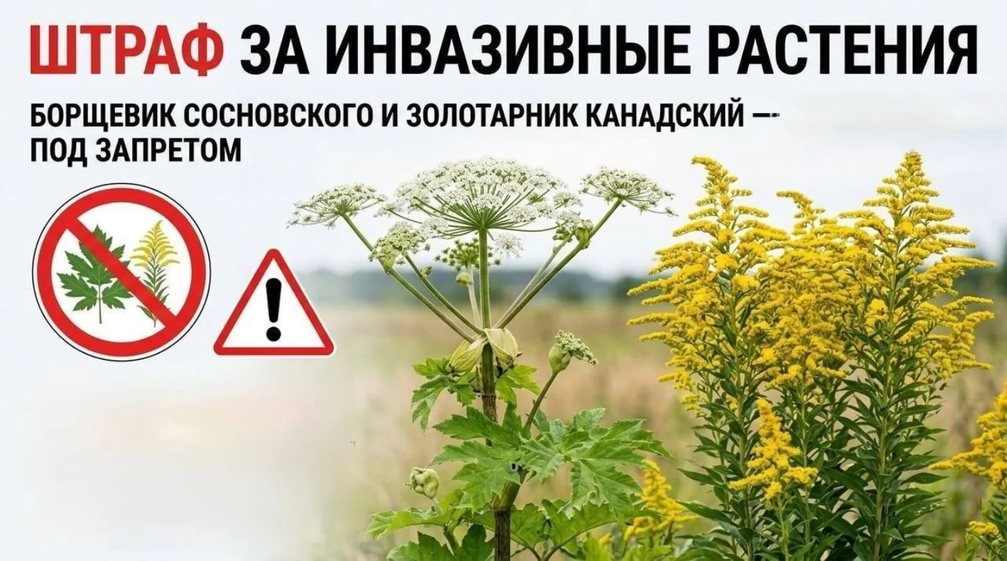 1781072551738