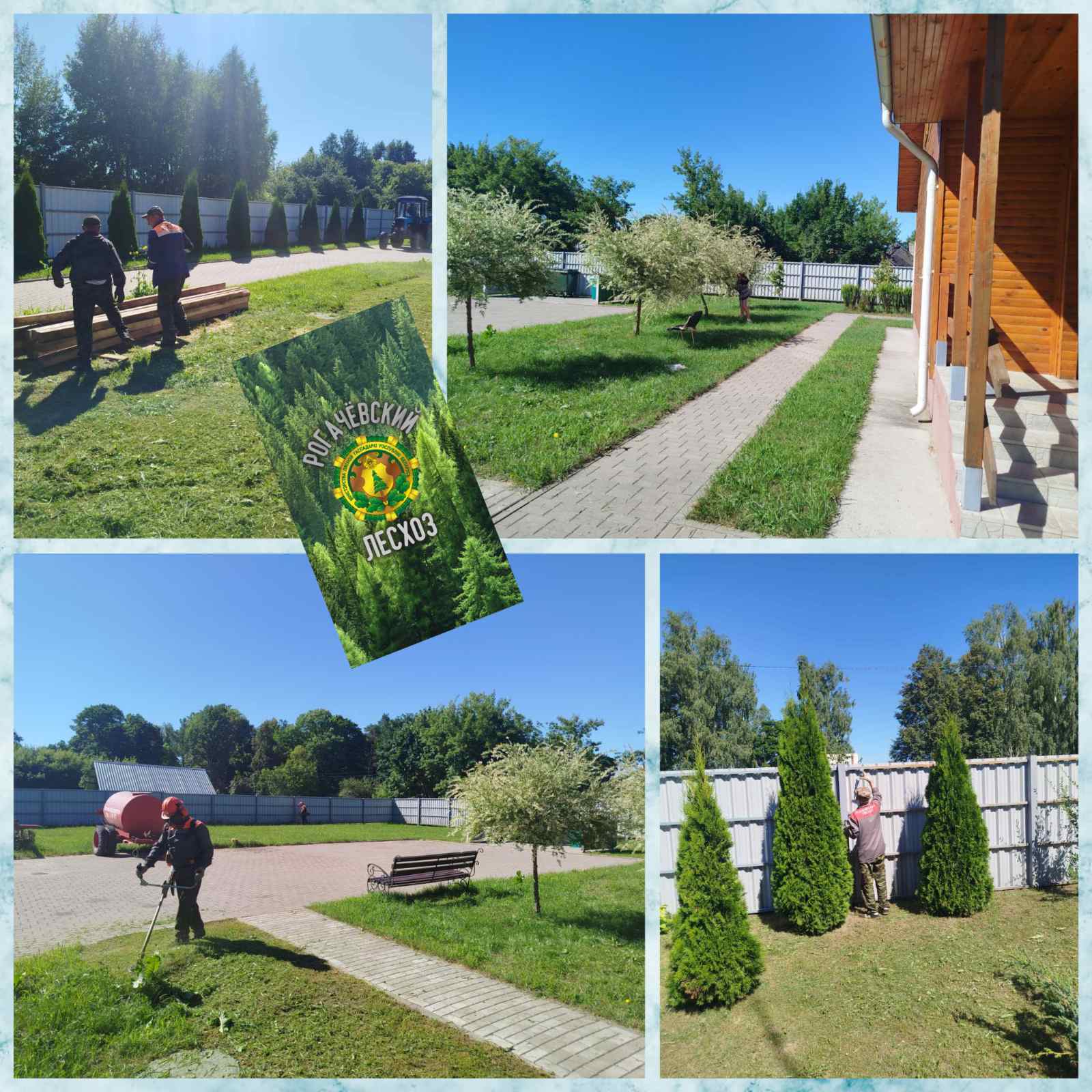 изображение viber 2026 07 17 11 13 10 984