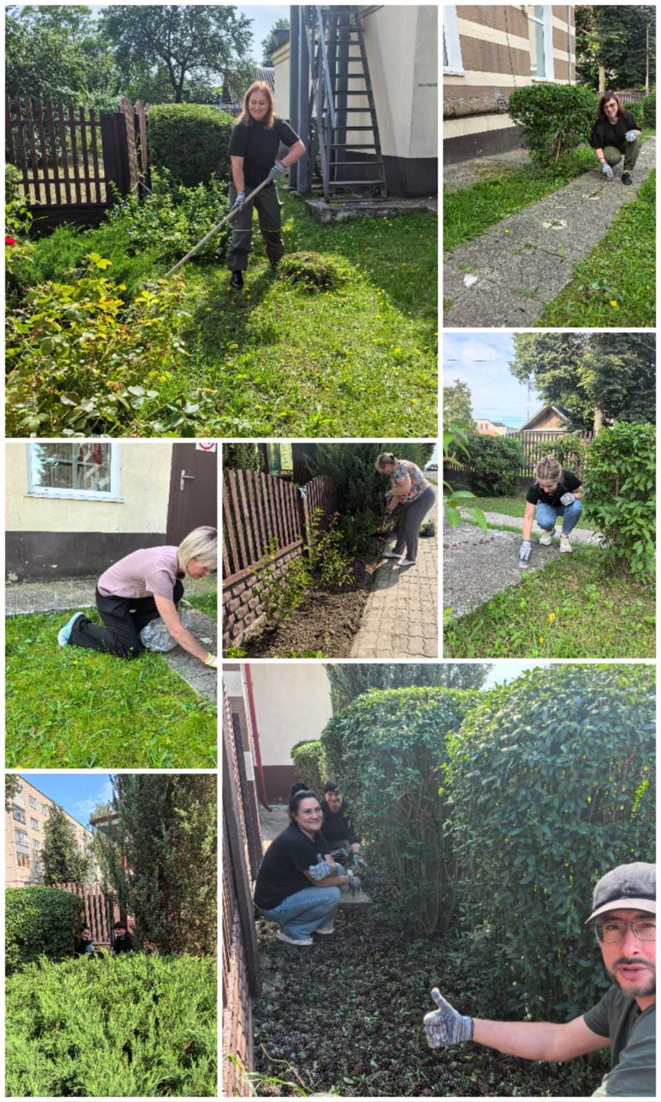 изображение viber 2026 07 24 11 13 26 903