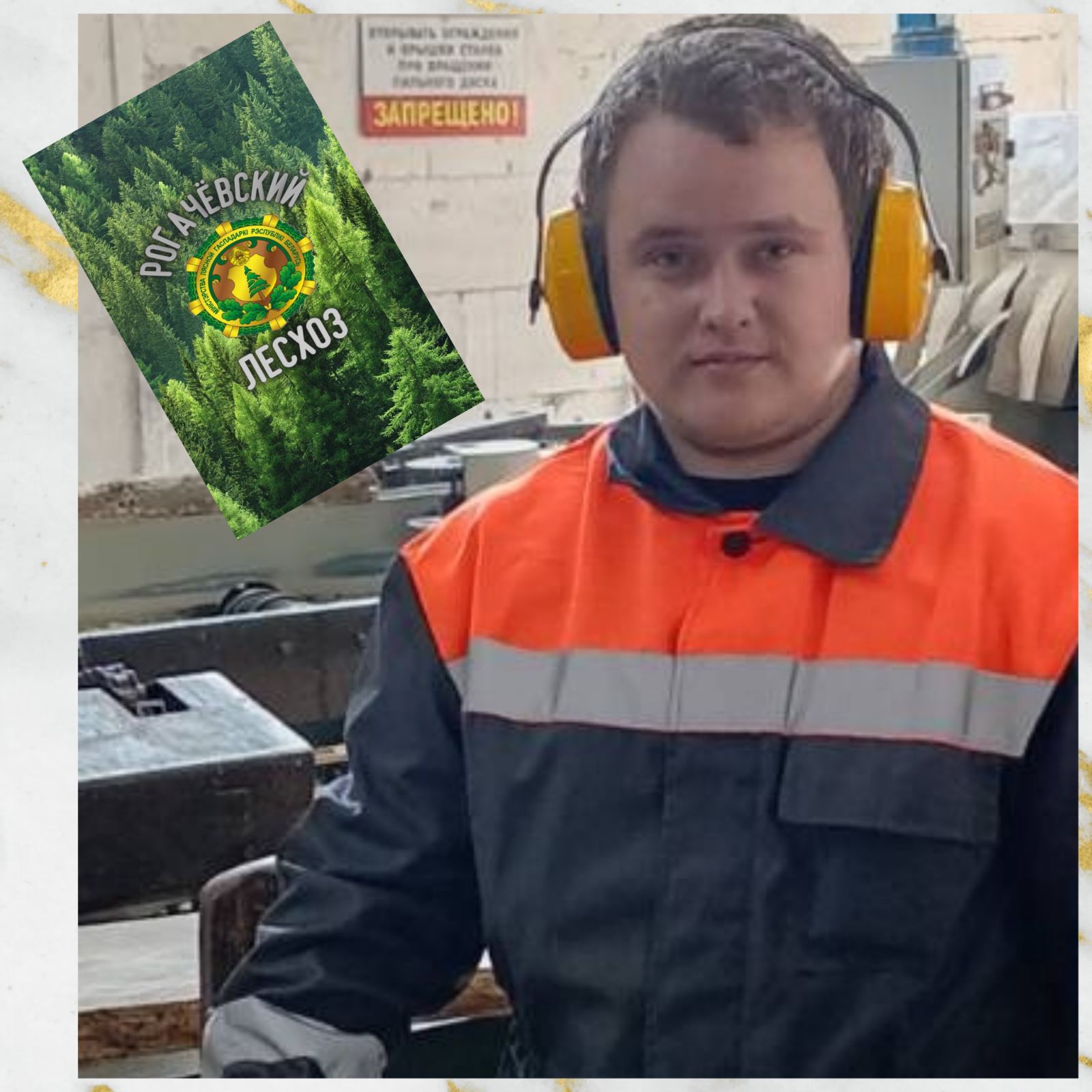 изображение viber 2026 08 04 10 19 12 488