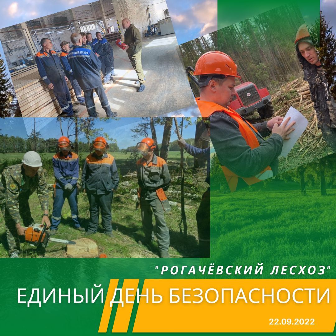 единый день безопасности
